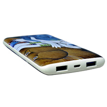 Cargar imagen en el visor de la galería, Cargador Pila Portátil Besiter Picasso India 10000 mAh